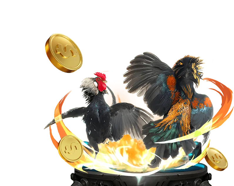 Người chơi tận hưởng nhiều loại máy đánh bạc tại 55win55 win