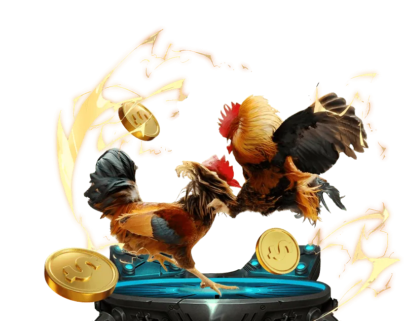 Cá cược Bóng Đá 55win55 win